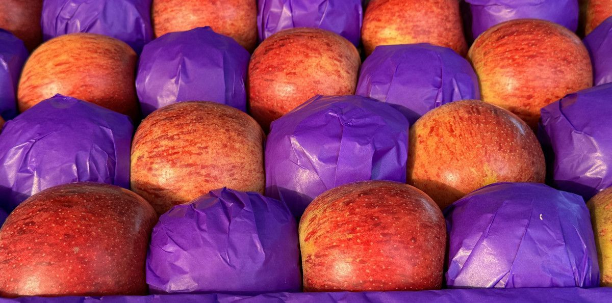 Manzana Vallegrandina llega a supermercados FIDALGA en Santa Cruz